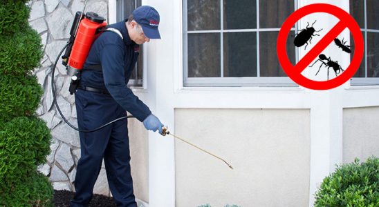 Ayvacık Gümüşkurt İlaçlama böcek ilaçlama ve haşere kontrolü — ilaclama-tr.com